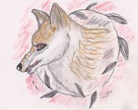 Fox Demon